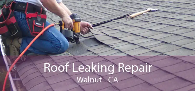 Roof Leaking Repair Walnut - CA