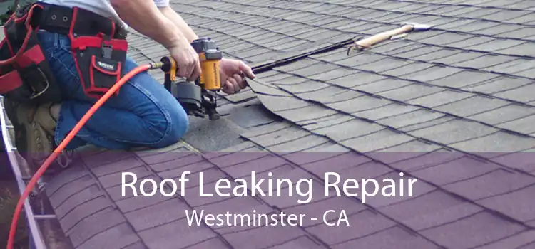 Roof Leaking Repair Westminster - CA