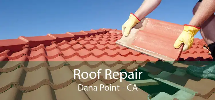 Roof Repair Dana Point - CA