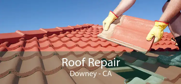 Roof Repair Downey - CA