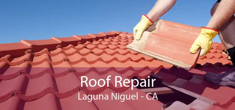 Roof Repair Laguna Niguel - CA