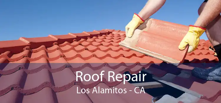 Roof Repair Los Alamitos - CA