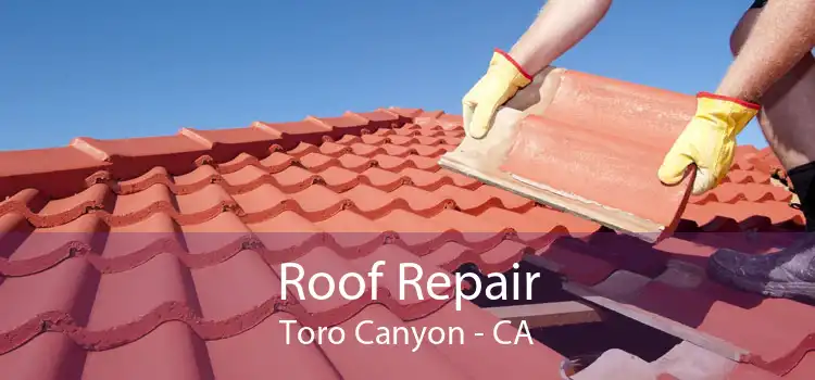 Roof Repair Toro Canyon - CA
