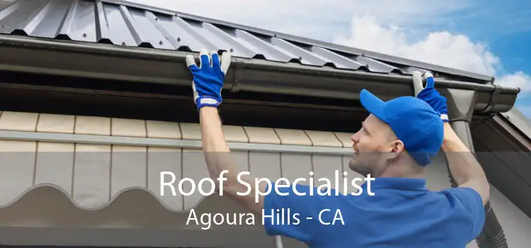 Roof Specialist Agoura Hills - CA