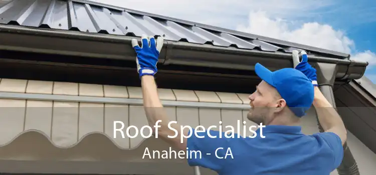 Roof Specialist Anaheim - CA