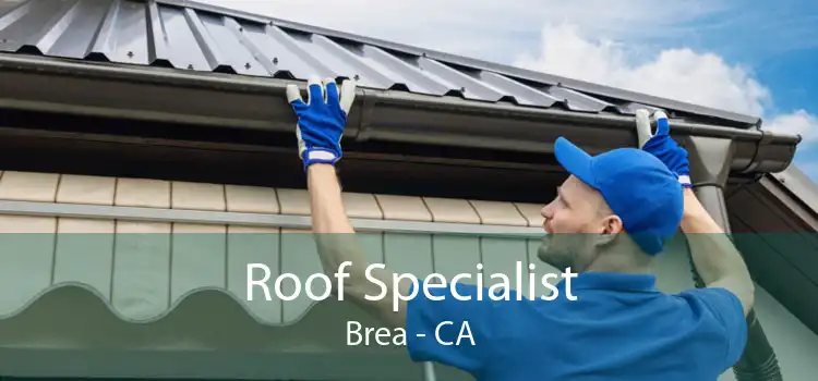 Roof Specialist Brea - CA