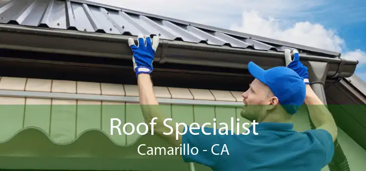 Roof Specialist Camarillo - CA