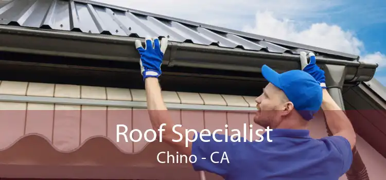 Roof Specialist Chino - CA