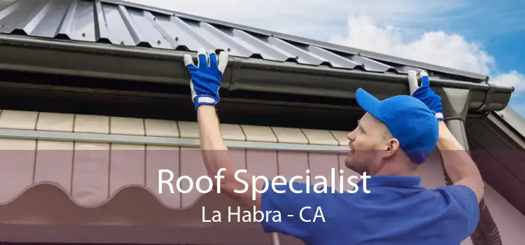 Roof Specialist La Habra - CA
