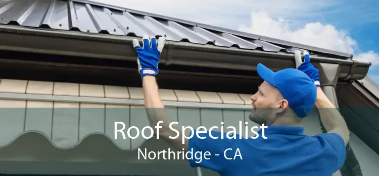 Roof Specialist Northridge - CA
