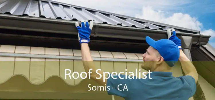 Roof Specialist Somis - CA