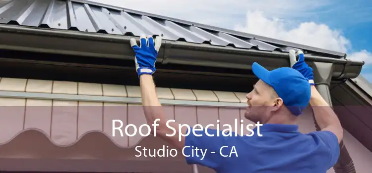 Roof Specialist Studio City - CA