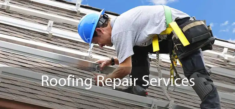 Roofing Repair Services 