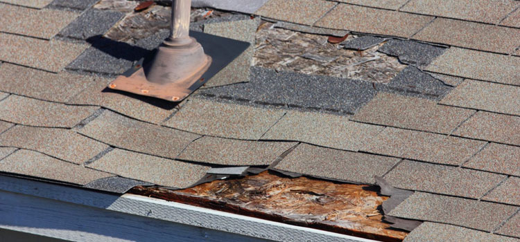 Metal Roofing Repair Services in West Hollywood, CA