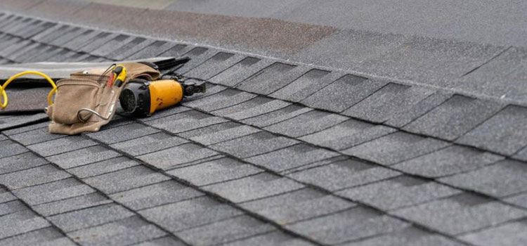 Best Tile Roof Replacement in Northridge, CA